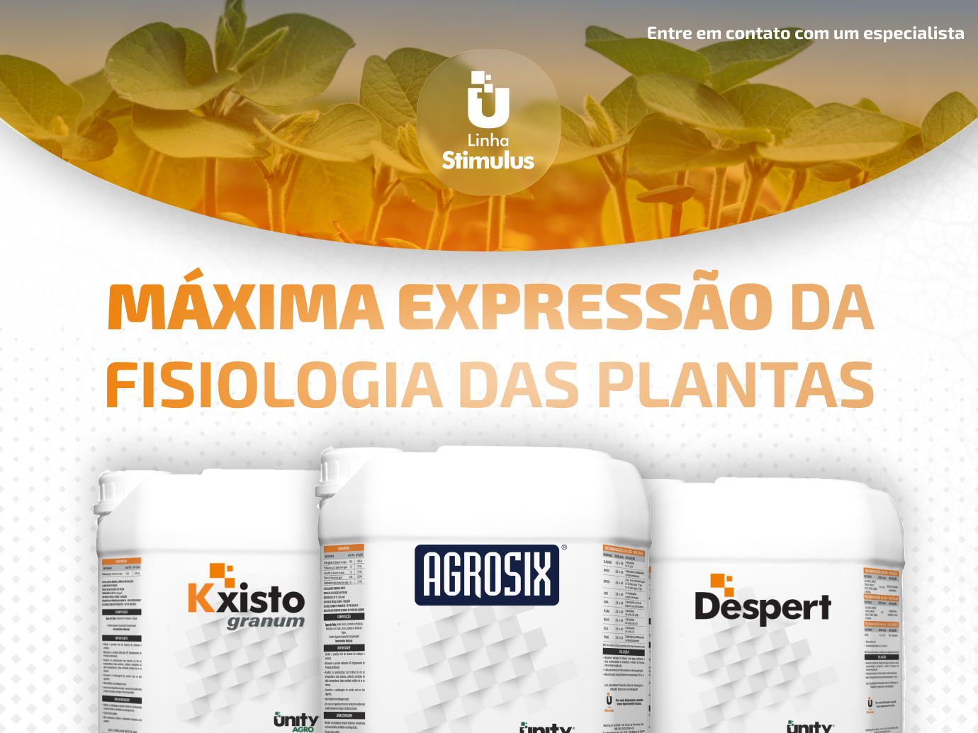 Linha Stimulus
