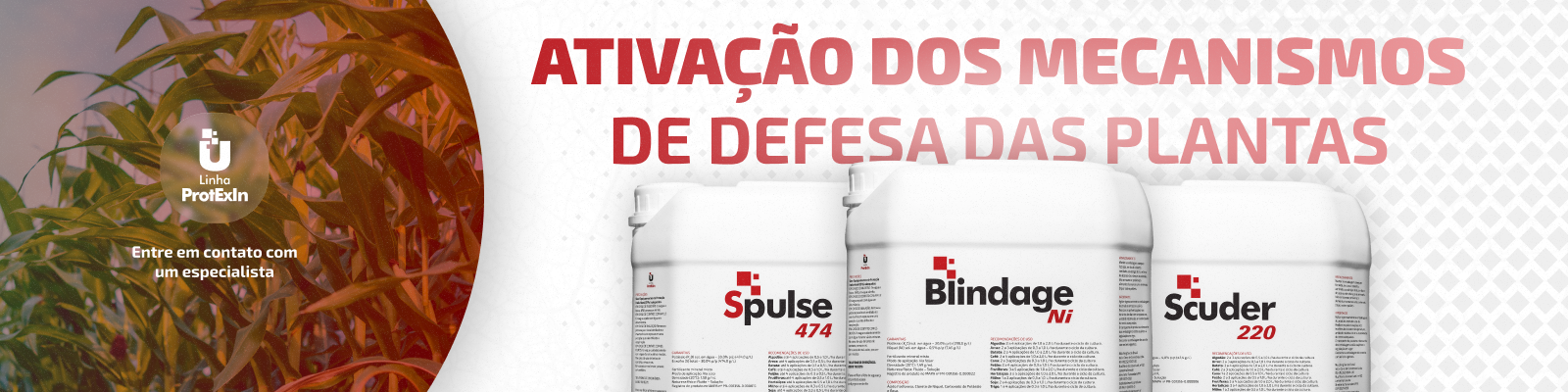Linha ProtExIn