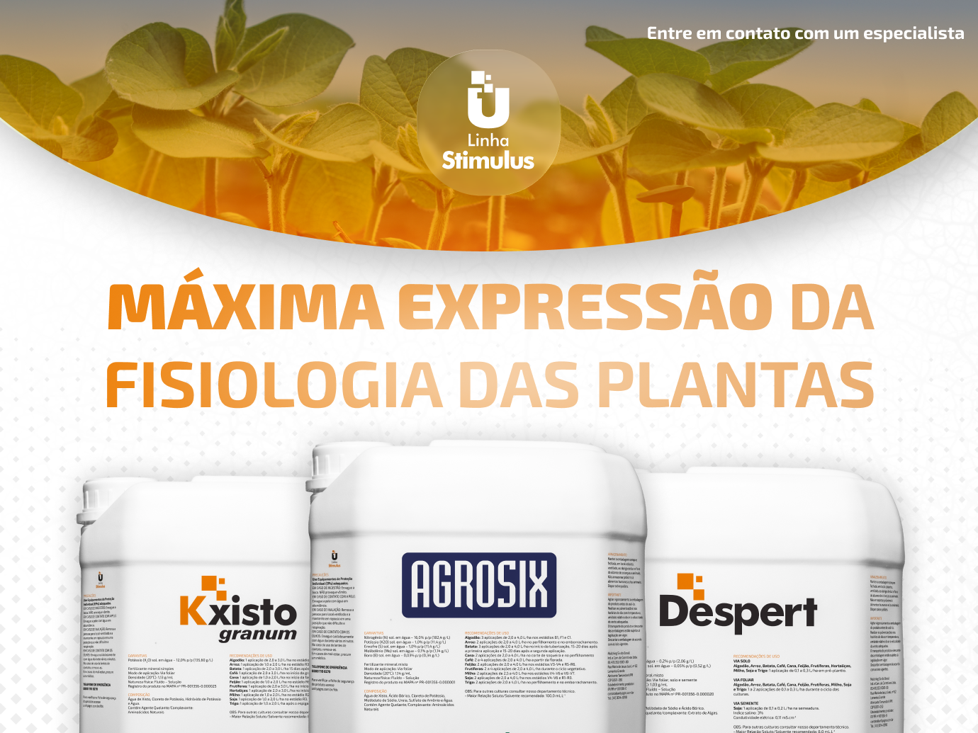 Linha Stimulus