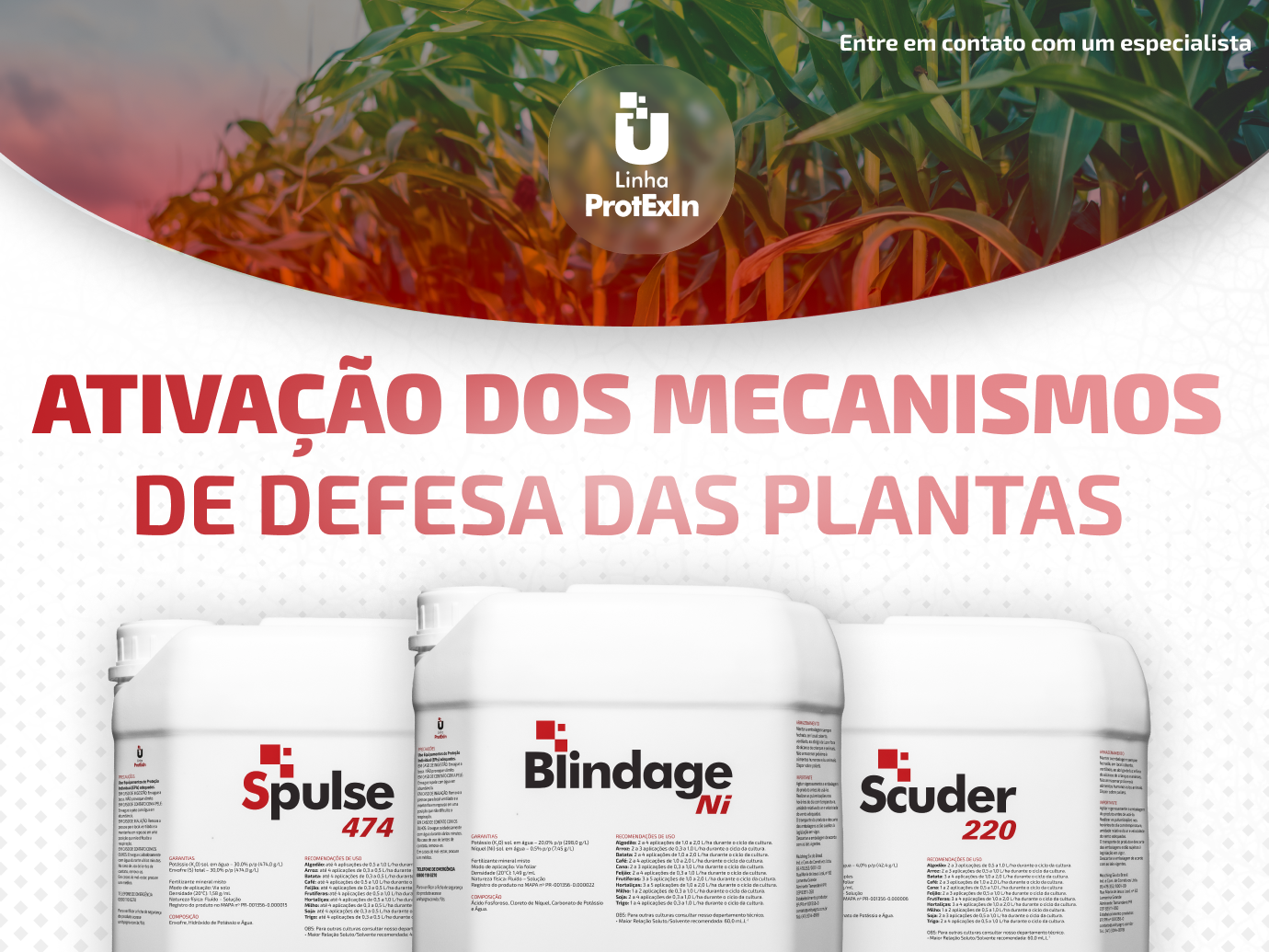 Linha ProtExIn